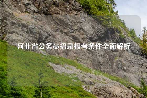 河北省公务员招录报考条件全面解析