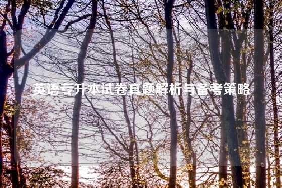 英语专升本试卷真题解析与备考策略