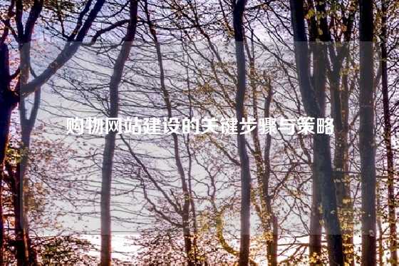购物网站建设的关键步骤与策略