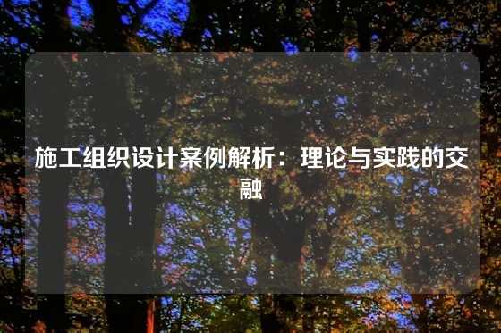 施工组织设计案例解析:理论与实践的交融