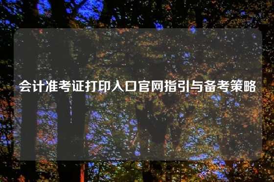 会计准考证打印入口官网指引与备考策略