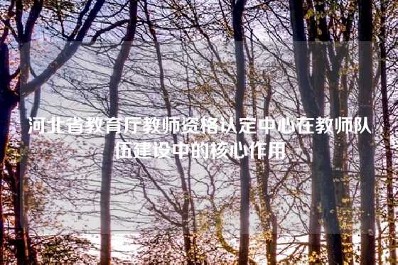 河北省教育厅教师资格认定中心在教师队伍建设中的核心作用