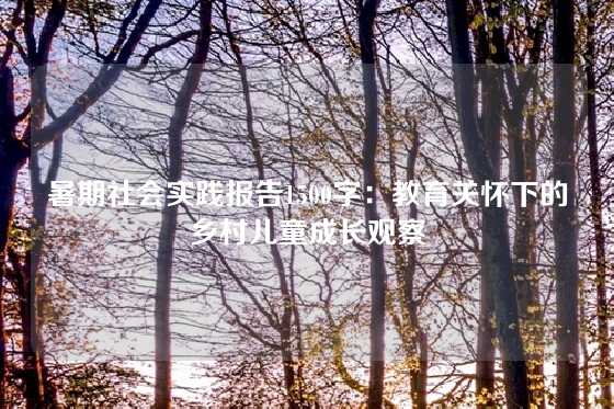 暑期社会实践报告1500字：教育关怀下的乡村儿童成长观察