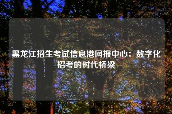 黑龙江招生考试信息港网报中心：数字化招考的时代桥梁