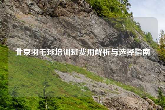 北京羽毛球培训班费用解析与选择指南