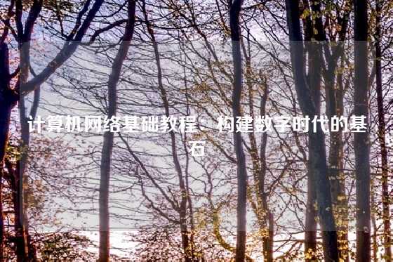 计算机网络基础教程：构建数字时代的基石
