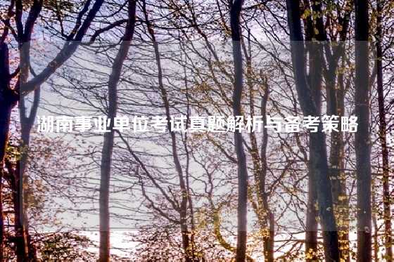 湖南事业单位考试真题解析与备考策略