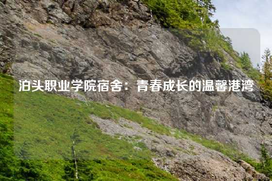 泊头职业学院宿舍：青春成长的温馨港湾